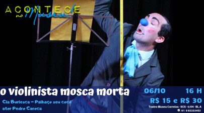 O Violinista Mosca morta