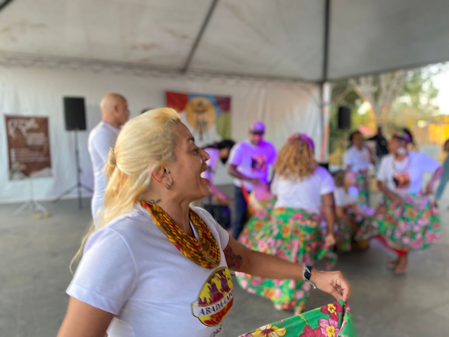 Comitê de Cultura do DF lança mapeamento inédito de Agentes Culturais