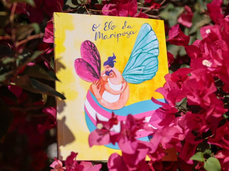 Livro O Elo da Mariposa propõe escuta, afeto e diálogo em tempos de aumento da transfobia