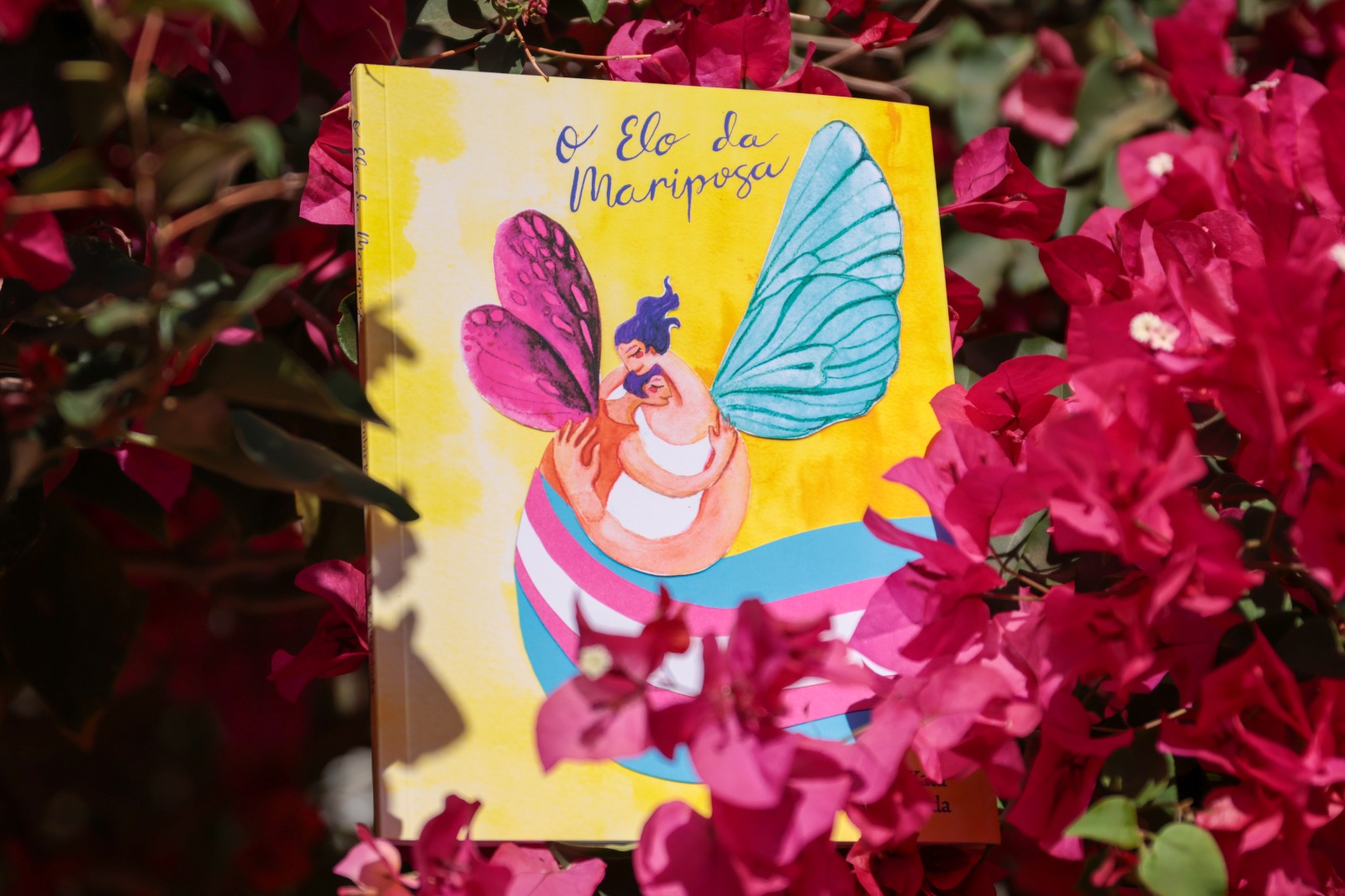 Livro O Elo da Mariposa propõe escuta, afeto e diálogo em tempos de aumento da transfobia